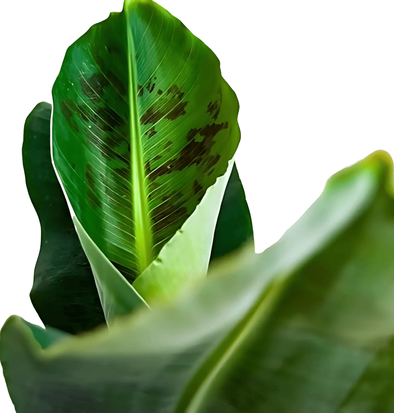 Produktbild 5