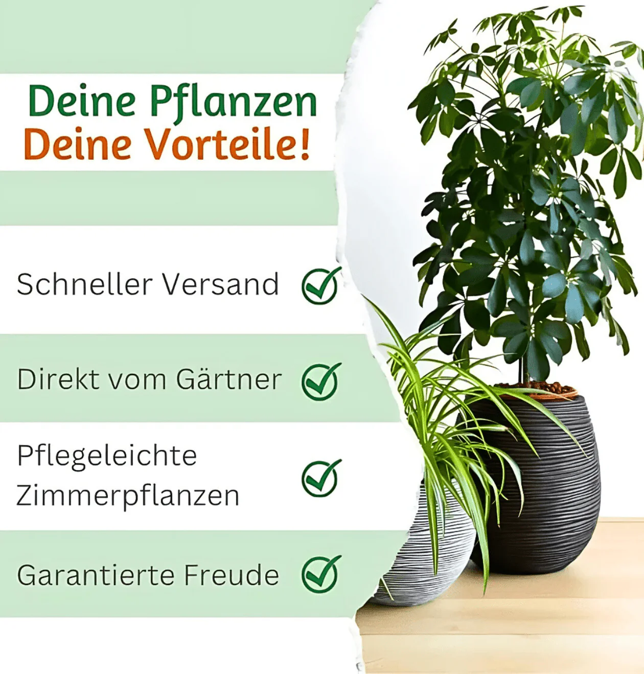 Produktbild 7