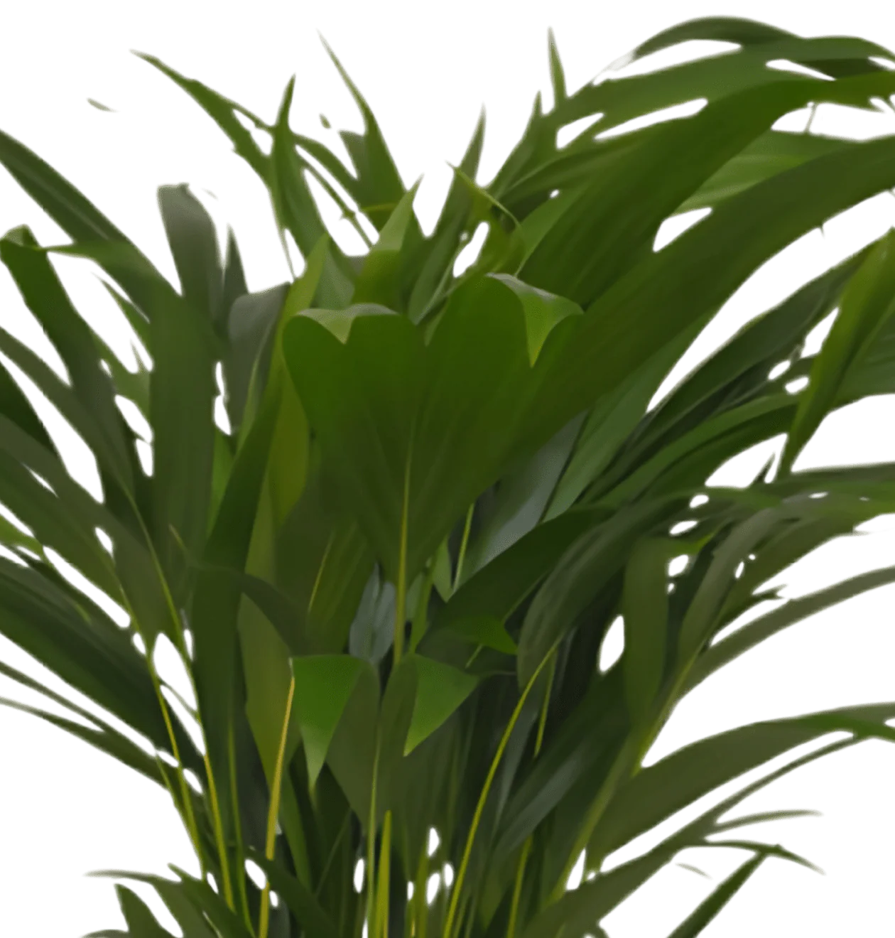 Produktbild 5